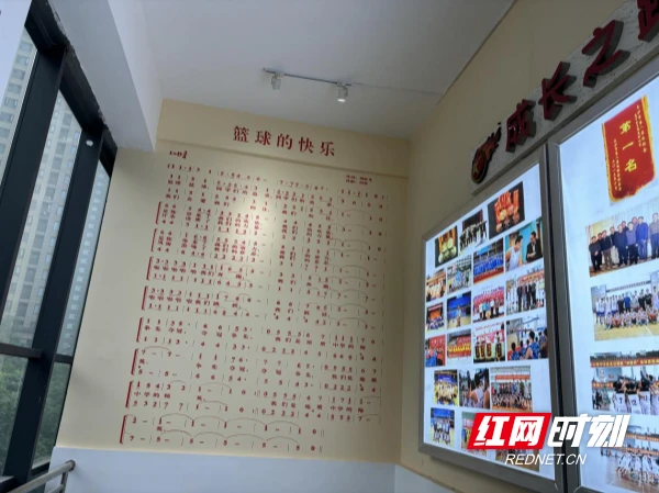 篮球运动员体能训练参考文献最新_2